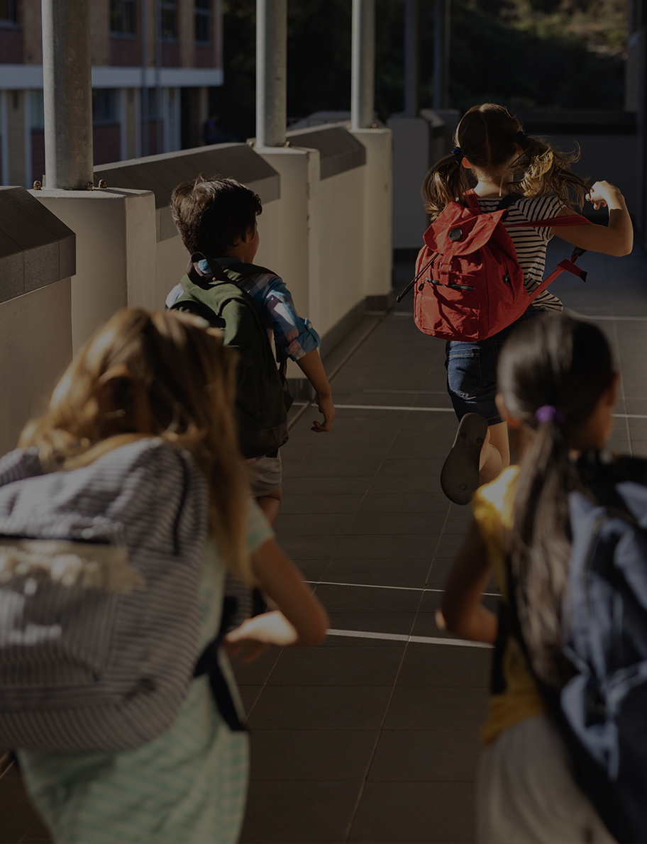 Campanita y Ecco linea profesional escuelas y universidades